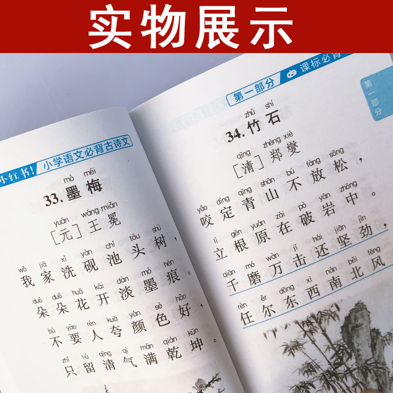 小学语数英3本套装 小学通用 [正版]2022版小红书小学语文数学英语基础知识大全口袋书英语单词书数学公式定律小学政治科