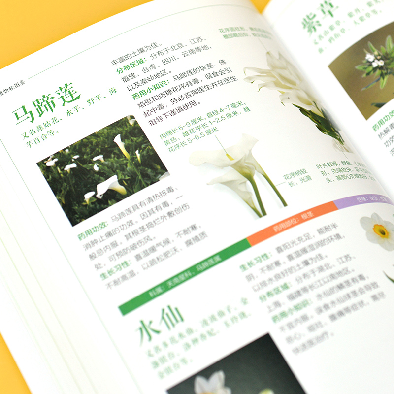 [醉染正版]药用植物轻图鉴 中医学院教授教你鉴别280种药用植物图书 药材科普指南从入门到精通生活常识百科全书高清大图