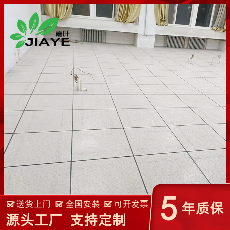 嘉叶JY-900全钢防静电地板E1级高清大图