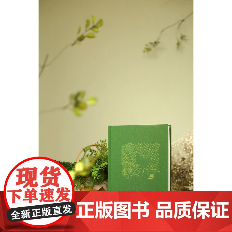 一点法国 桑贝系列精装全彩印刷法国文学上海译文出版社外国随笔作品集系列另有一点巴黎高清大图