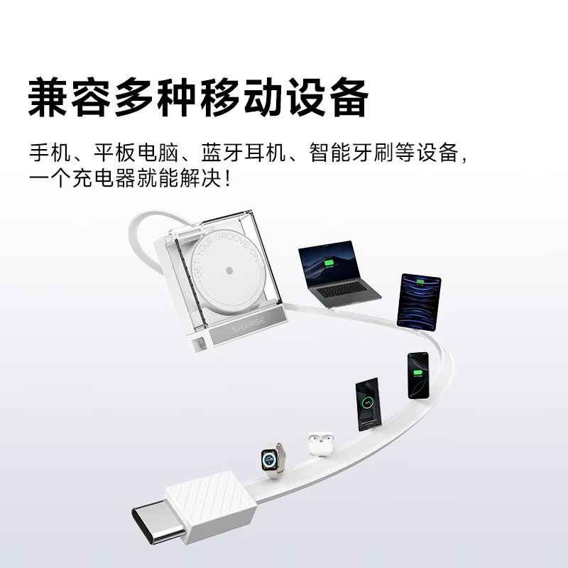 闪极-唱片充电器65W高清大图