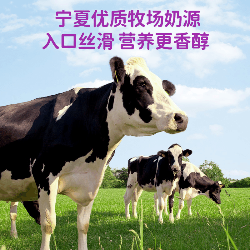 西梅多多酸奶饮品0添加蔗糖含膳食纤维饮料饮品整箱220ml*10瓶图片