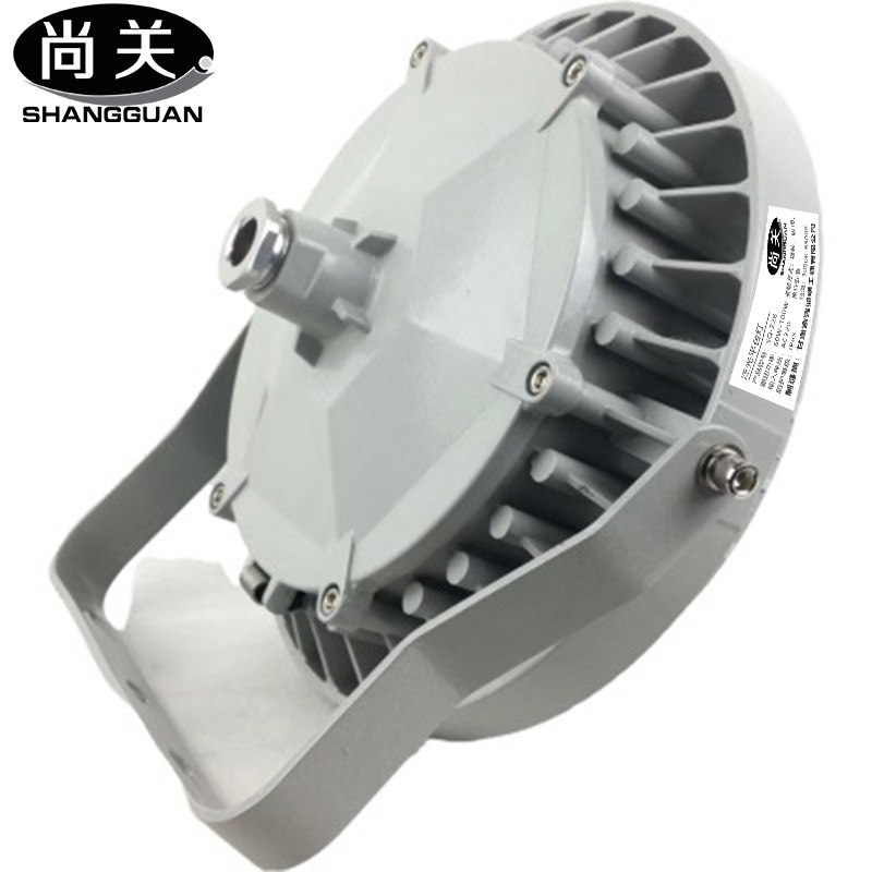 尚关(SHANGGUAN) 泛光平台灯SQ-Z26 AC220V LED 100W