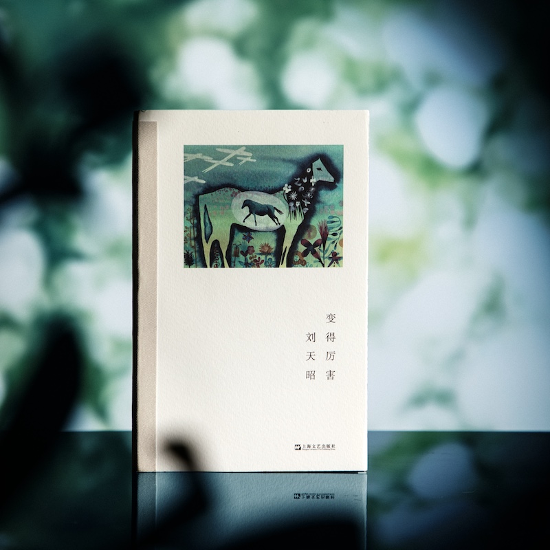 变得厉害 [正版]2024豆瓣年度书单变得厉害 刘天昭著作艺文志诗集谈初老精神危机上海文艺现当代诗集图书籍 另著散文集出高清大图