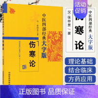 伤寒论 [正版]伤寒论中医四部经典大字版 张仲景 中医基础理论中医临床辨证证治外感热病伤寒杂病论 中国医药科技出版社