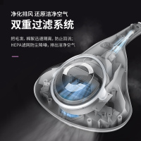 宝家丽(bobbot)除螨仪床上除螨虫除螨机紫外线消毒手持吸尘器家用 R11-Pro 粉色