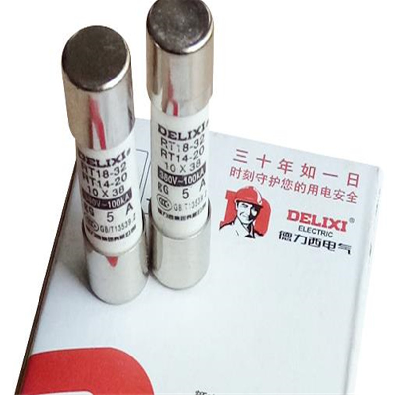 德力西2A保险管10只装
