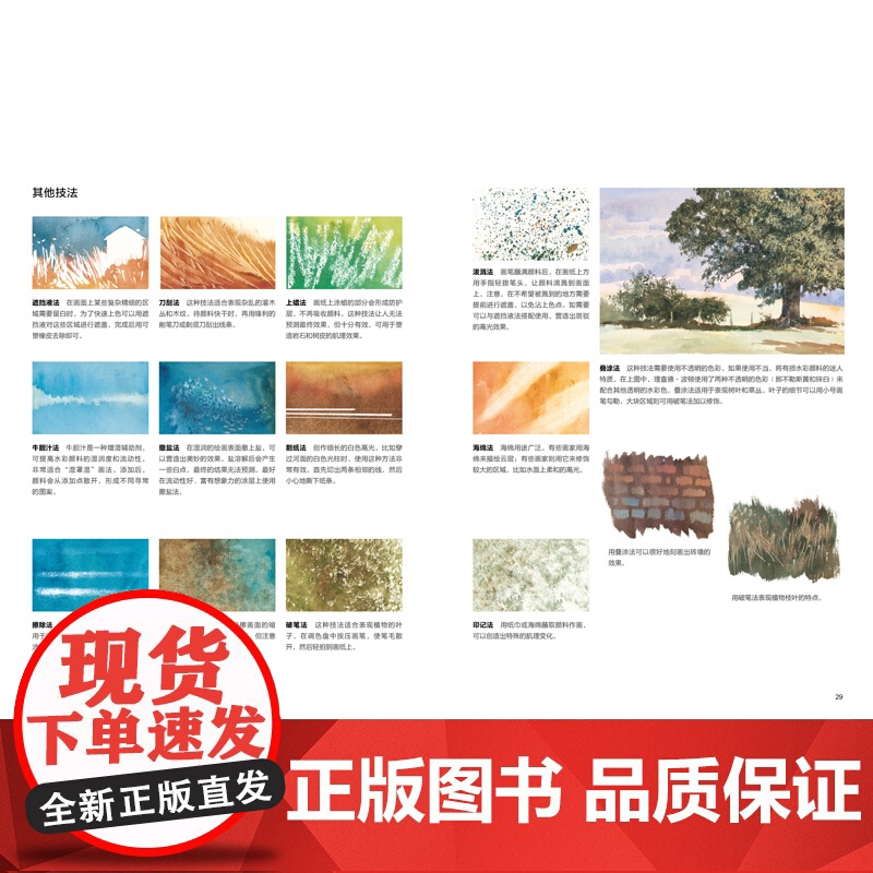 手把手教你画水彩画西方绘画技法经典教程 水彩画技法分步基础教学 水彩画步骤详解教程 水彩画创作参考书 上海书画出版社高清大图