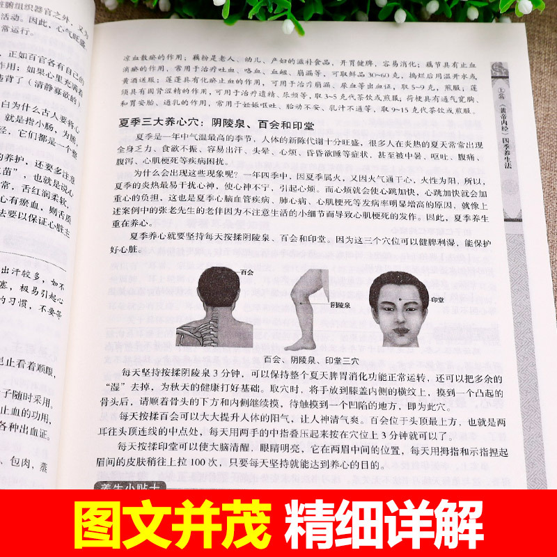 [正版]黄帝内经四季养生和十二时辰养生法大全家庭认知应用养生保健指南书 全译全解养生智慧全书四季养生中医养生保健入门书