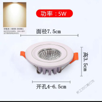 苏宁放心购小射灯3w5w天花灯开孔4cm4.5公分6厘米嵌入式客厅家用筒灯 两线银5W中性光【开孔4-6cm】