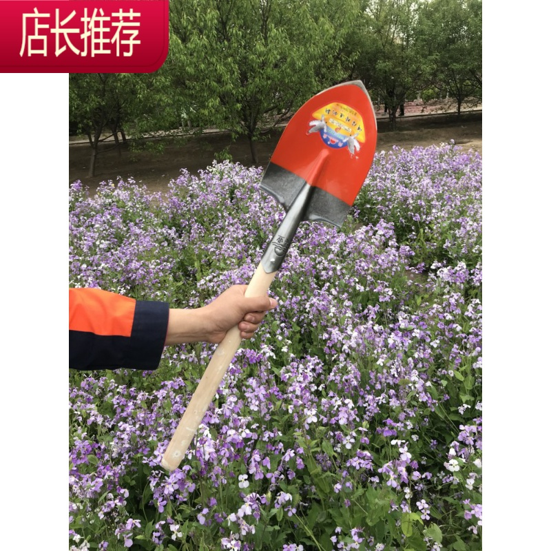 小铁锹家用挖土园艺种花工具小铲子清洁铲小锹小煤铲铲屎铲猫狗JING PING