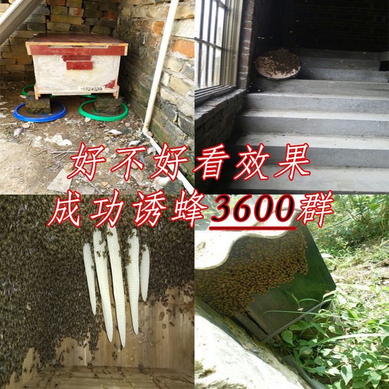诱蜂神器诱蜂蜡招蜂用收蜂笼收蜂神器招蜂水诱蜂野外收蜂神器蜂蜡 诱蜂桶