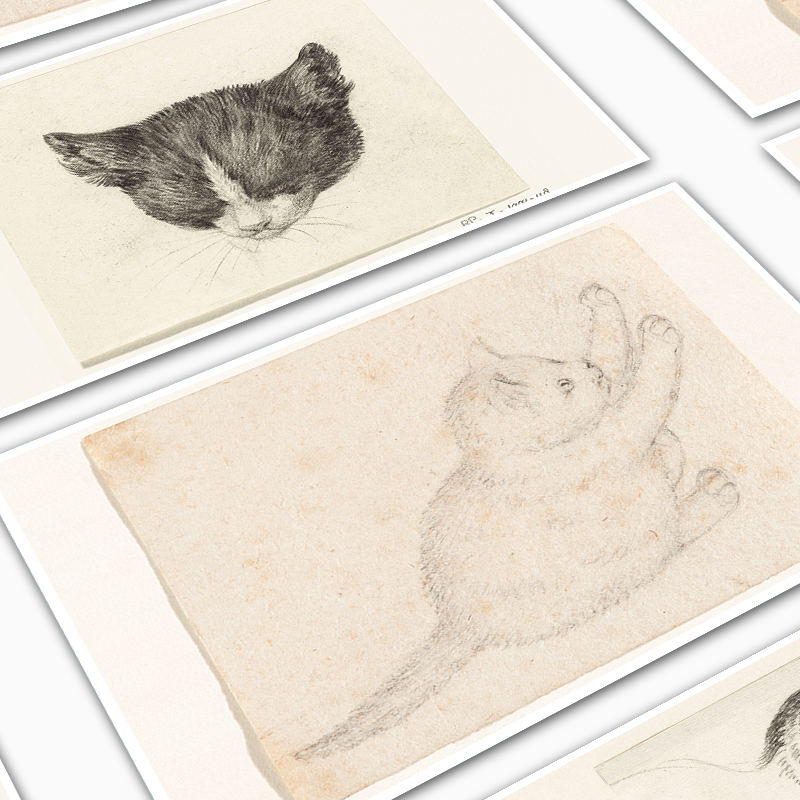 [醉染正版]猫咪素描技法名画中的猫高清临摹卡艺术明信片画作文创留言卡油画卡作品唯美文艺小清新精美卡片礼物套装世界名画生日高清大图