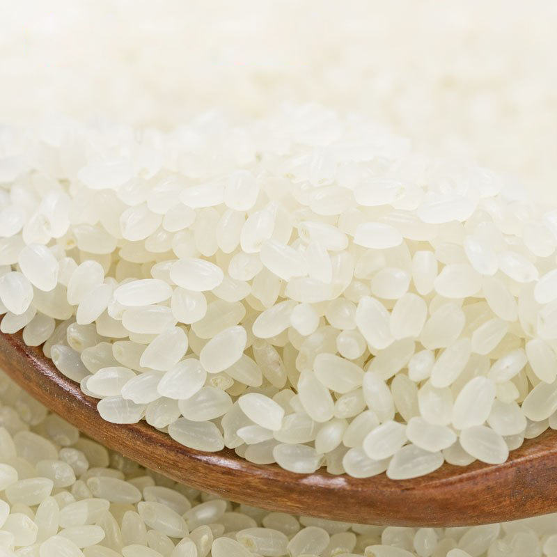 当季新米禾园常东北大米尝粒香米2.5kg/5斤粳米软糯香甜优质热卖
