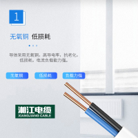湘江电线BVVB2芯1.0/1.5/2.5/4/6平方护套线家用双铜芯明装平行线 默认尺寸 湘江BVVB纯铜2芯2.5平方100米