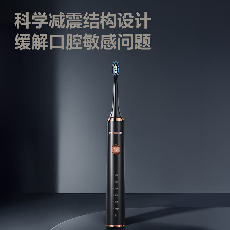 飞科(FLYCO)电动牙刷成人软毛充电式 成人学生 情侣款生日礼物送男女友FT7205 炫酷黑