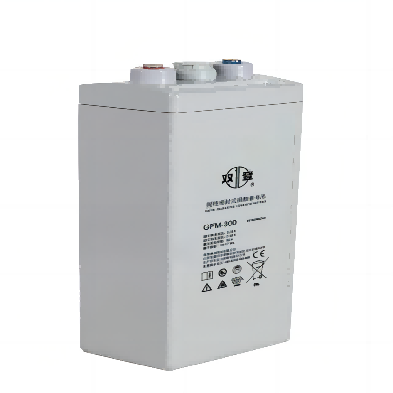 双登狭长型蓄电池6-FMX-50B高清大图