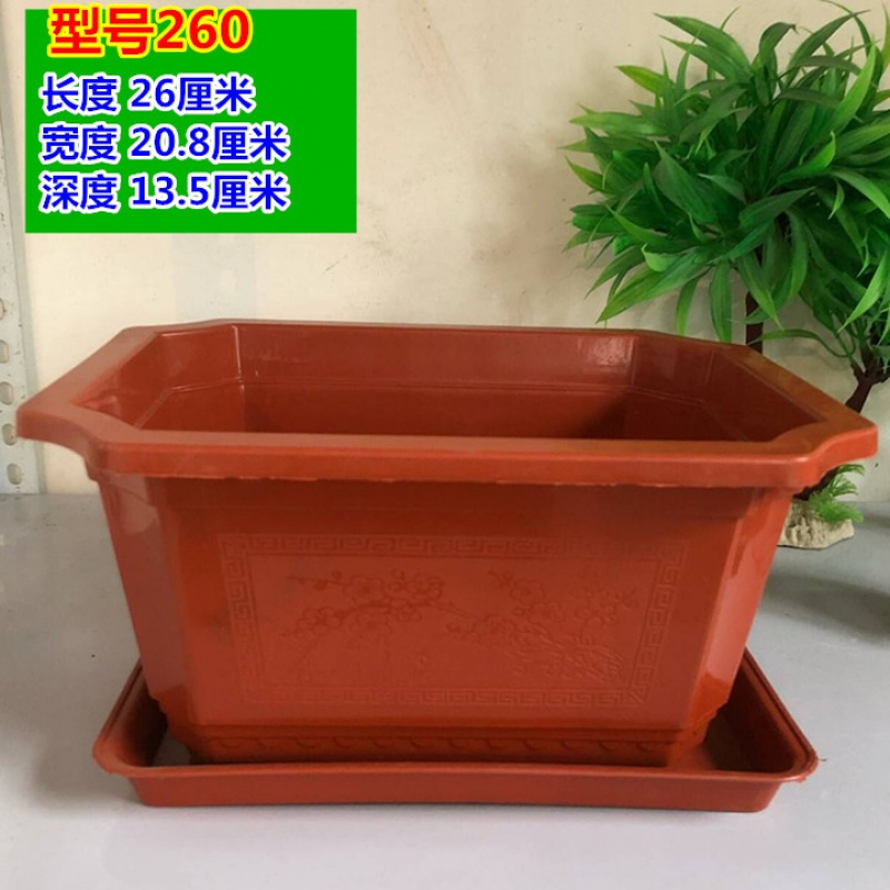 古达园艺用品古达长方形花盆塑料阳台种花盆绿萝兰花文竹多肉种植箱盆景盆买10赠1 长方260型号10个盆 带托盘中等 价格图片品牌报价 苏宁易购老蜂匠园艺用品专营店