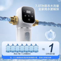 志高7T/h大流量前置过滤器家用反冲洗自来水全屋中央净水器Q1 180天只换不修 上门安装
