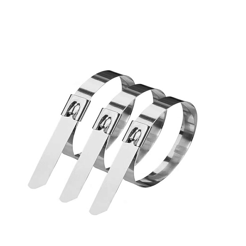 嘉众忆 不锈钢扎带(201) 4.6*800mm JZY-468 根图片