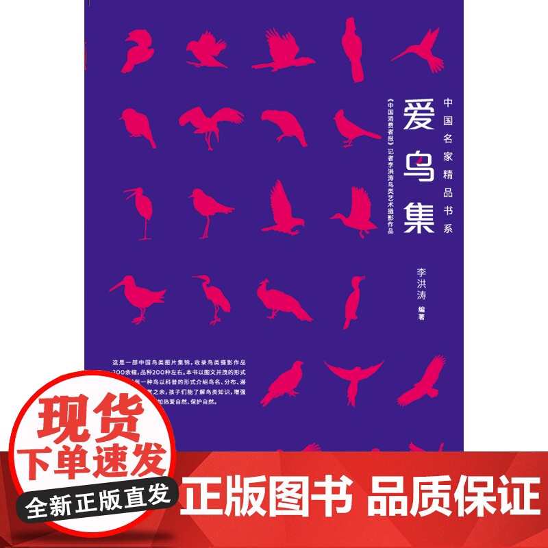 爱鸟集高清大图