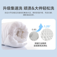 海尔(Haier) 10公斤 大容量 变频电机 波轮洗衣机 双动力系列 自编程 紫外线除菌 XQS100-BZ156