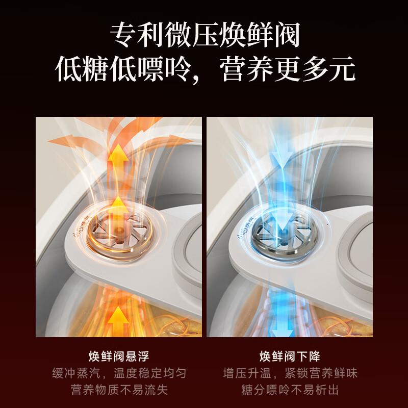 小熊(Bear)电炖锅 炖盅 隔水炖锅炖汤盅煲汤锅 电炖盅4.1L家用2-4人微压电炖锅DDZ-J25G2高清大图