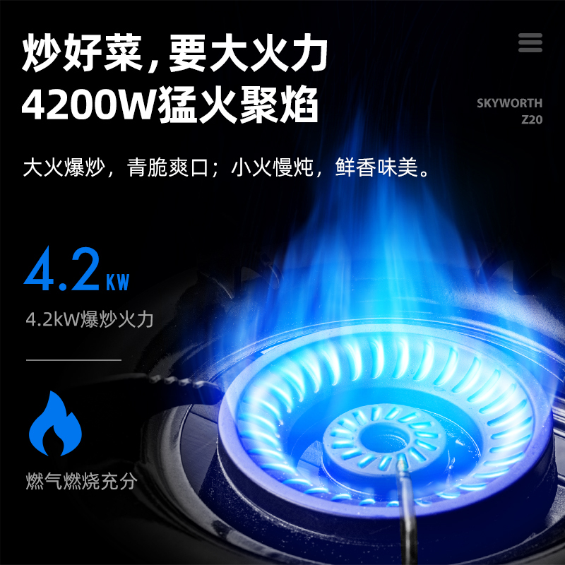 创维Z20B(液化气)煤气灶双灶家用天然气灶台式液化气灶猛火灶厨房炉具燃气灶