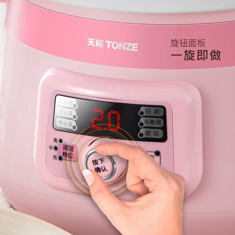 天际(TONZE)电炖锅20EWD陶瓷煮粥锅全自动家用煲汤熬粥电砂锅预约慢炖煮粥神器陶瓷内胆单胆电炖盅2-3L/2升