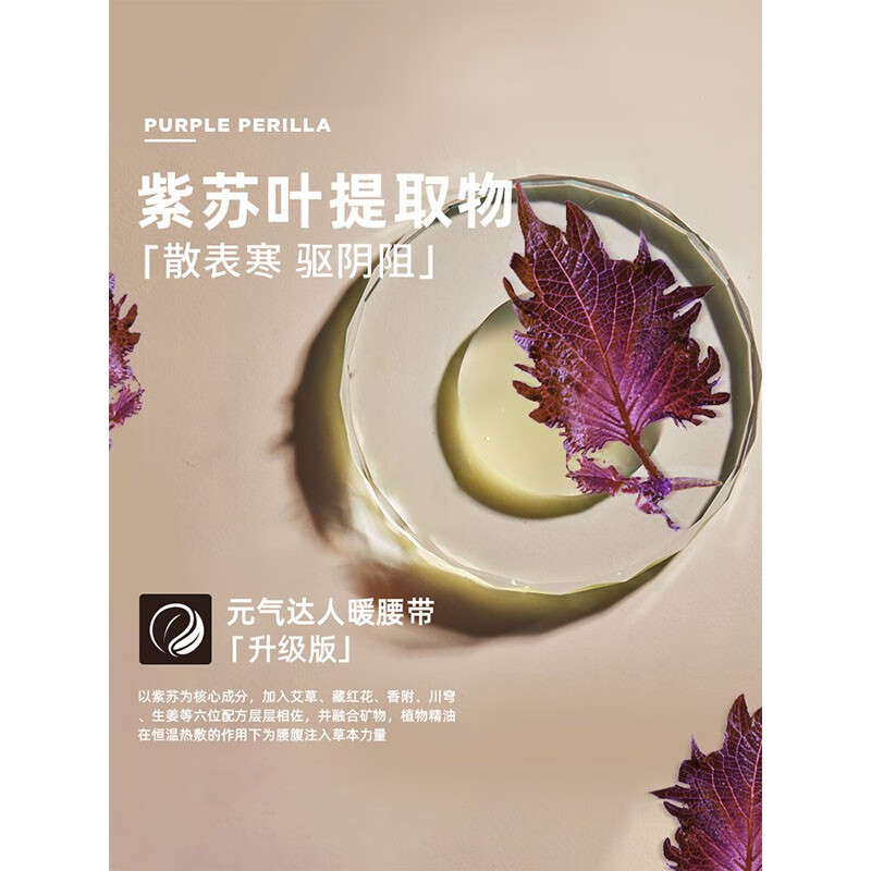 元气达人 蕲艾热敷暖腰带3片*2盒