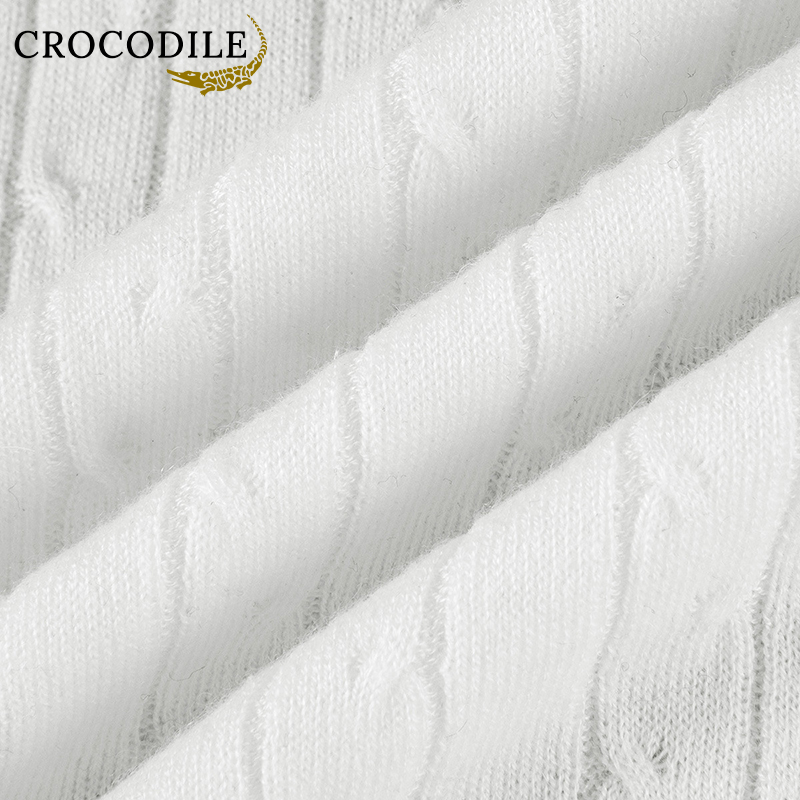 鳄鱼恤CROCODILE 男士亲肤绞花肌理贴身T恤上衣针织衫高清大图