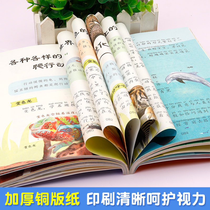 儿童趣味百科 [正版]儿童趣味百科小学生百科常识彩图注音版课外阅读动物昆虫植物地理物理自然宇宙百科全书大百科十万个为什么