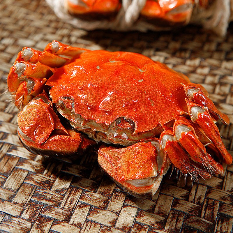 蟹灵阁鲜活六月黄大闸蟹2.