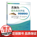 黄颡鱼绿色高效养殖技术与实例 9787109321328 沈志刚 何焱等主编 黄辣丁高效养殖技术 中国农业出版技