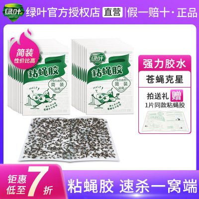 绿叶粘蝇胶（50张) 粘蝇纸苍蝇贴强力杀灭蝇粘虫板家用室内灭蝇药捕蝇神简装器粘蚊虫