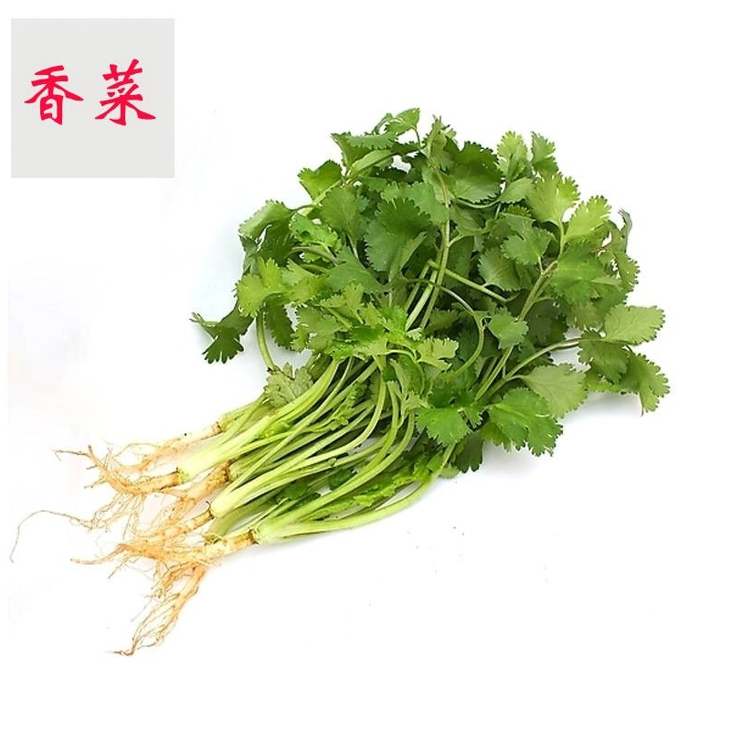 脱水干香菜提味蔬菜调料香菜颗粒干香菜叶调味提味香菜干250g