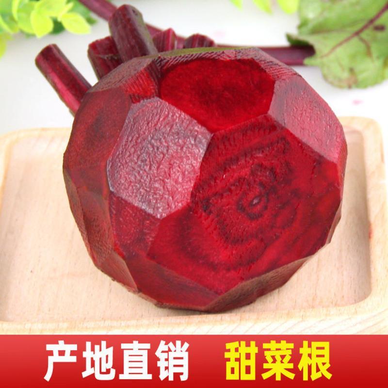 甜菜根新鲜红菜头保健蔬菜红心萝卜紫菜头红甜菜根红根 中-甜菜根5斤(约5-10个)精选