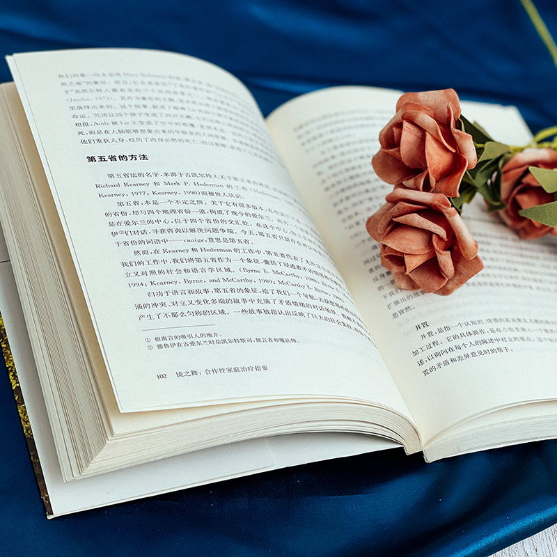 镜之舞:合作性家庭治疗指要 (美)弗莱德曼(Steven Friedman) 主编;林紫心理机构 译 著作 生活 文轩网