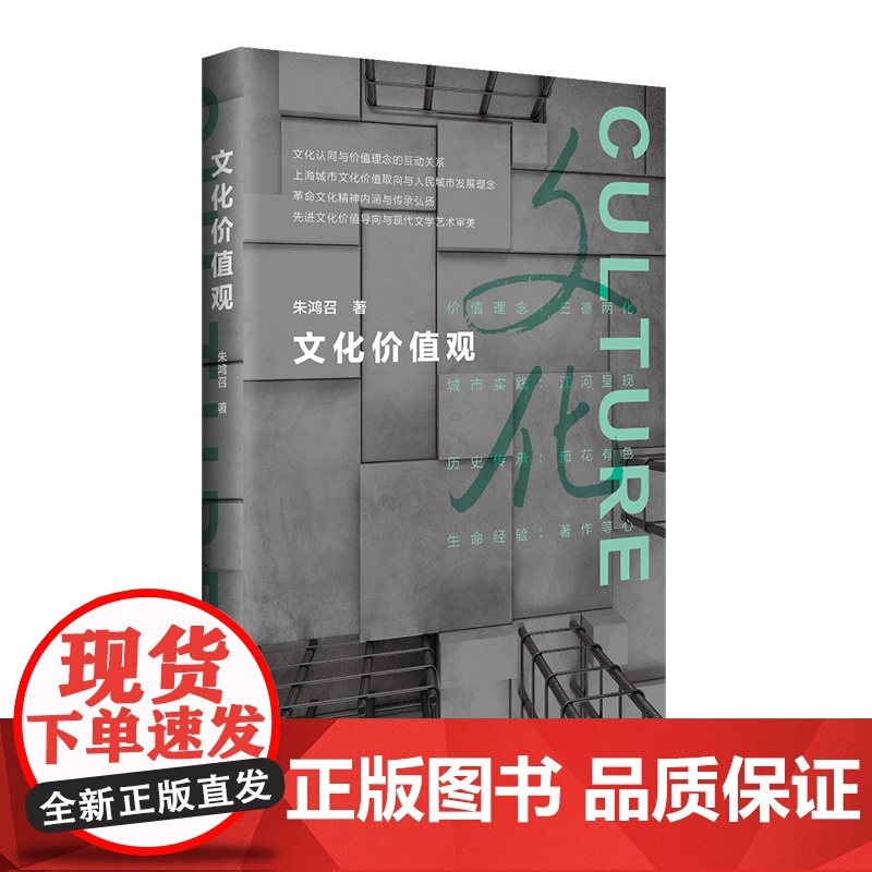 文化价值观 精装 朱鸿召 文化认同 价值理念 华东师范大学出版社高清大图