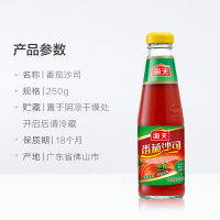 海天番茄沙司250g 披萨汉堡薯条意大利面 番茄酱调料