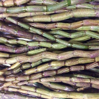 新鲜铁皮石斛鲜条枫斗雁荡山仿野生种 满一斤或500克绿植 50g