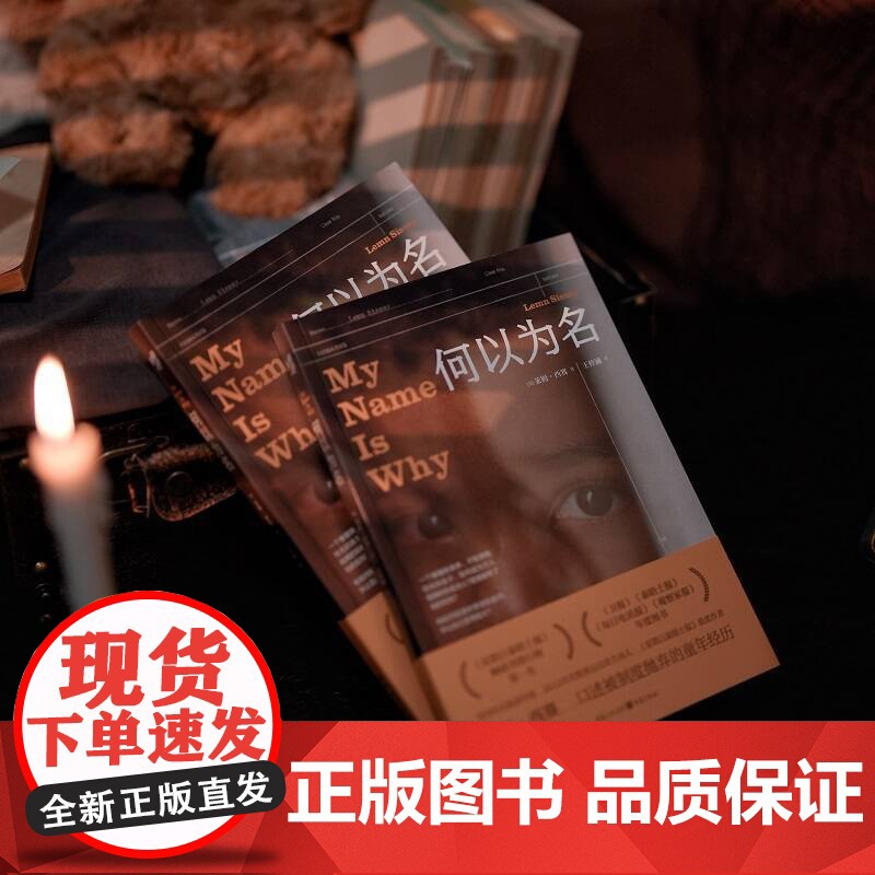 正版《何以为名》一名弃儿用十年挣脱命运 揭示英国福利系统的隐秘角落传记 励志单亲妈妈寻亲拐卖遗弃跨文化研究高清大图