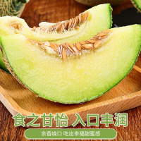 鲜知臻食 海南/山东网纹瓜4.5-5斤彩箱装