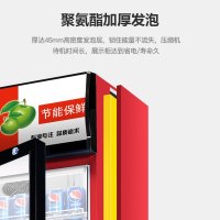寒箭 展示柜冷藏柜立式 商用冷柜饮料柜自营商用冰箱三门双门单门立式保鲜柜便利店超市冰柜啤酒柜冷饮柜 单门直冷300L