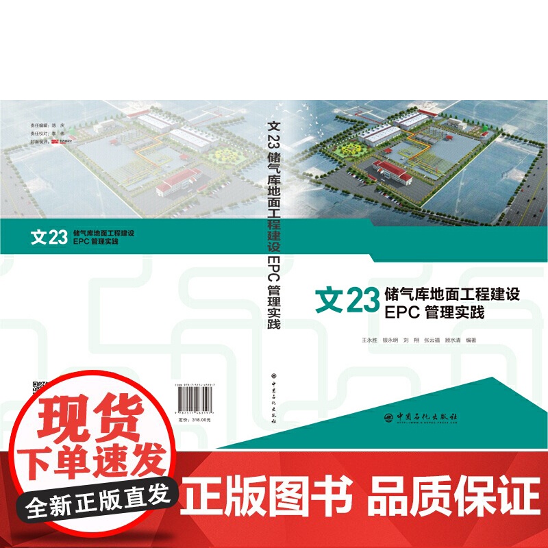 [正版书籍]文23储气库地面工程建设EPC管理实践高清大图