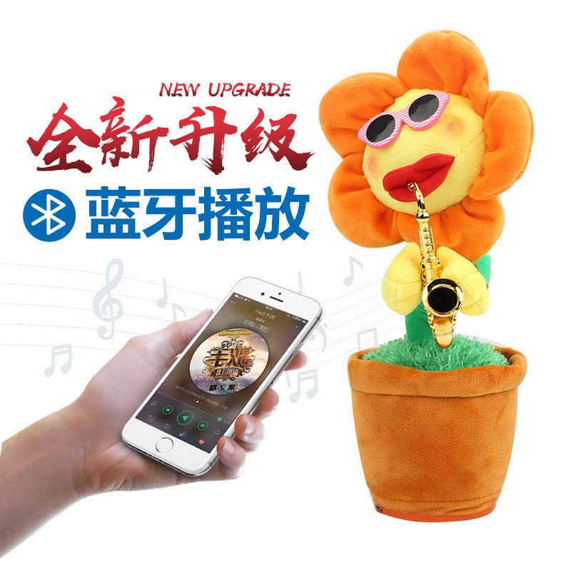 向日葵 🌻三番灣區向日葵花海🌻 | 社区旅行精选