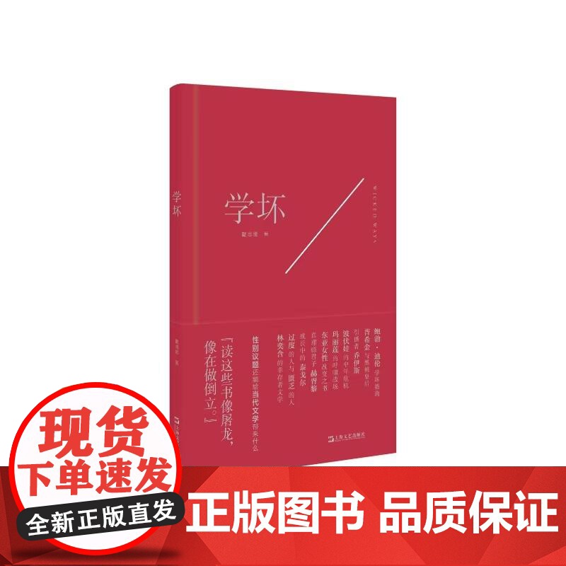 学坏 牛津才女戴潍娜自现之书许知远作序上海文艺出版社女性文学随笔正版图书籍 另著诗集灵魂体操以万物为情人我的降落伞坏了高清大图