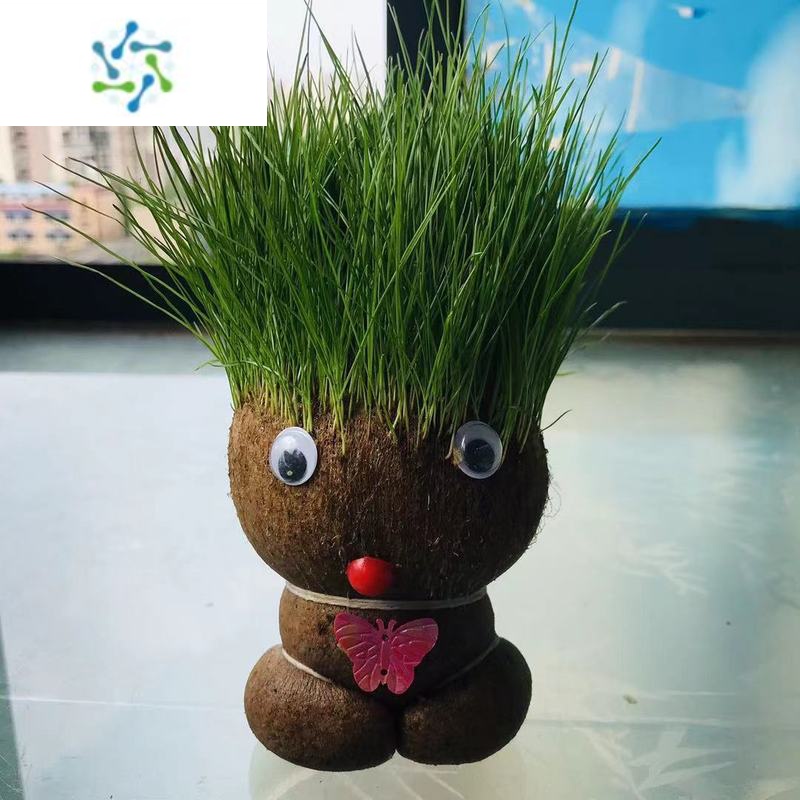 三维工匠草头娃娃头上长草人小盆栽种植物浇水长头发迷你绿植儿童观察
