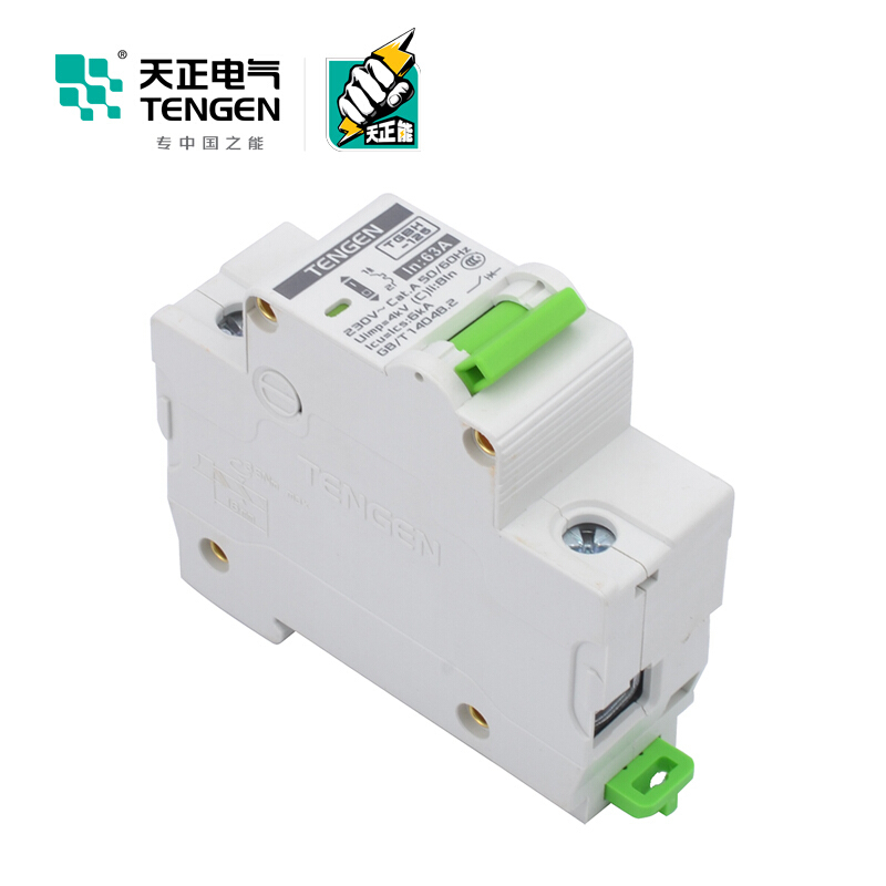 天正电气瑞彩系列TGBH-125 空气开关 6KA 1P C 125A 335013800240 微型断路器