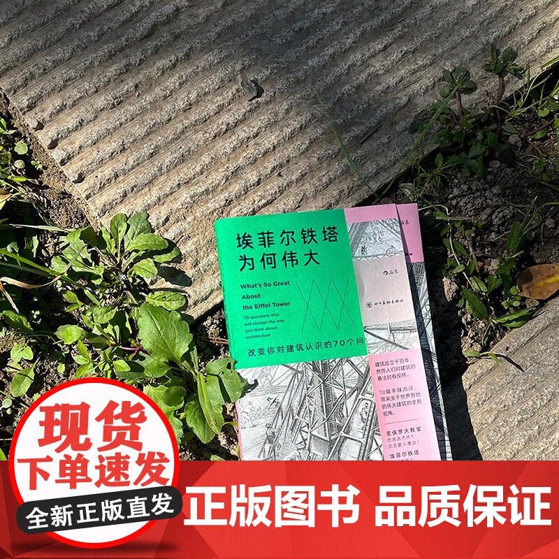 埃菲尔铁塔为何伟大 改变你对建筑认识的70个问题 乔纳森·格兰西 著 艺术高清大图